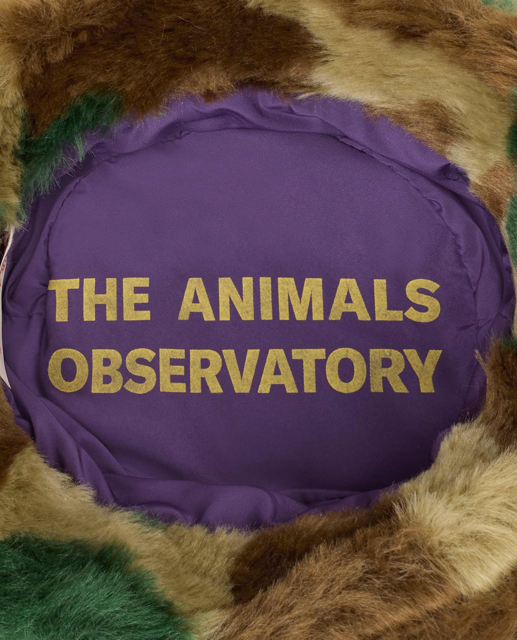 The Animals Observatory Starfish Kids Hat Green